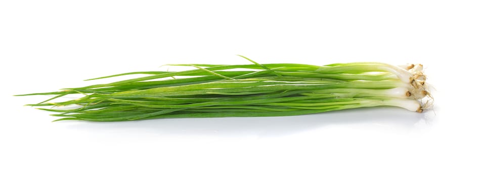 Green onion isolated on the white background