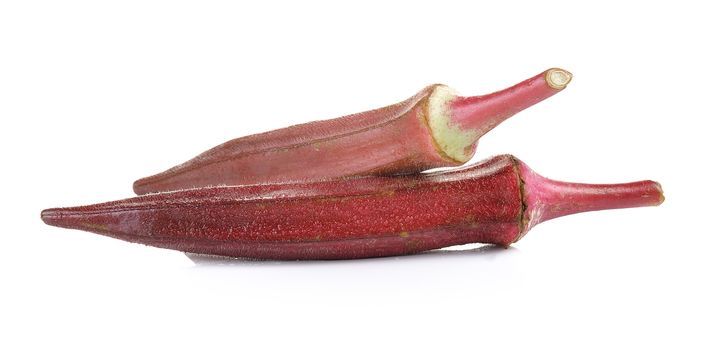 red roselle on white background