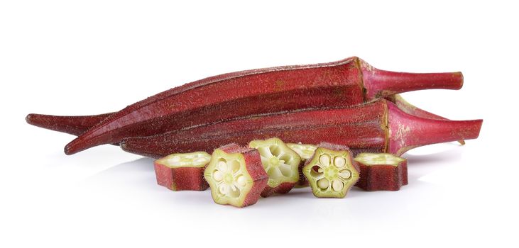 red roselle on white background