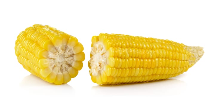 corn on white background