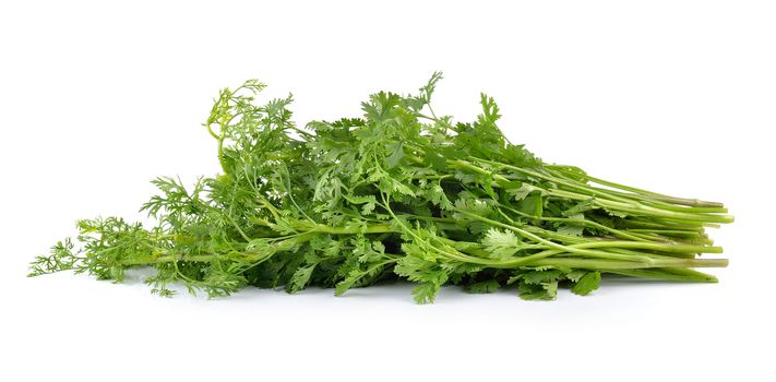 coriander on white background