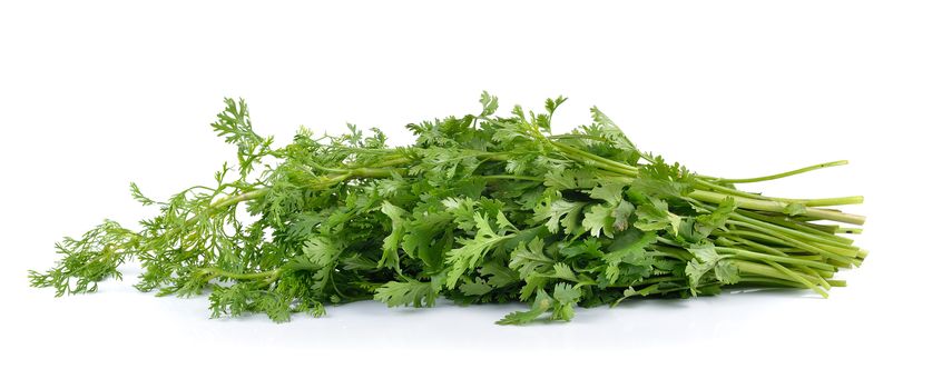 coriander on white background