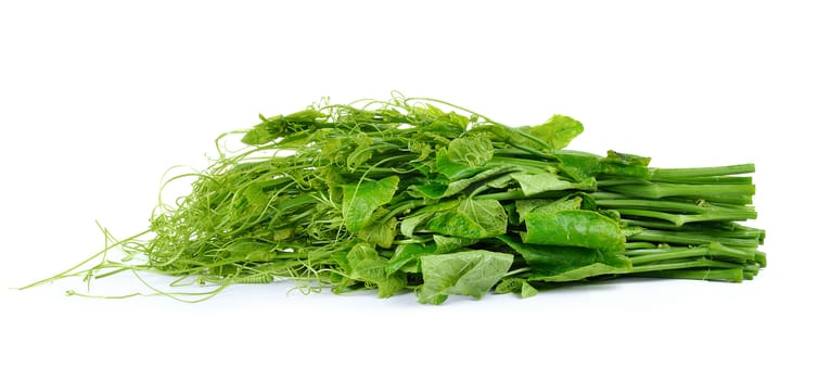 Bunch of fresh chayote on white background