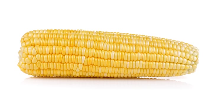 fresh corn on white background