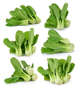 Bok choy vegetable on white background