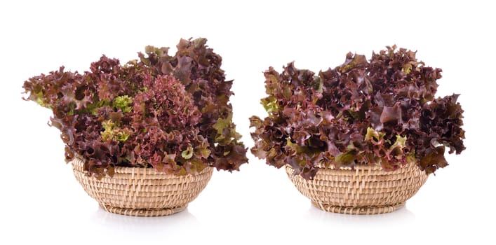 Fresh red lettuce in the basket isolated on a white background