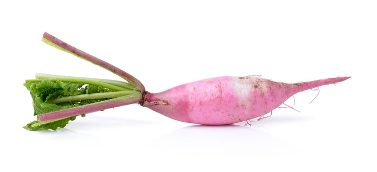 radishes isolated on white background