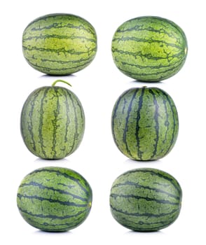 watermelon 