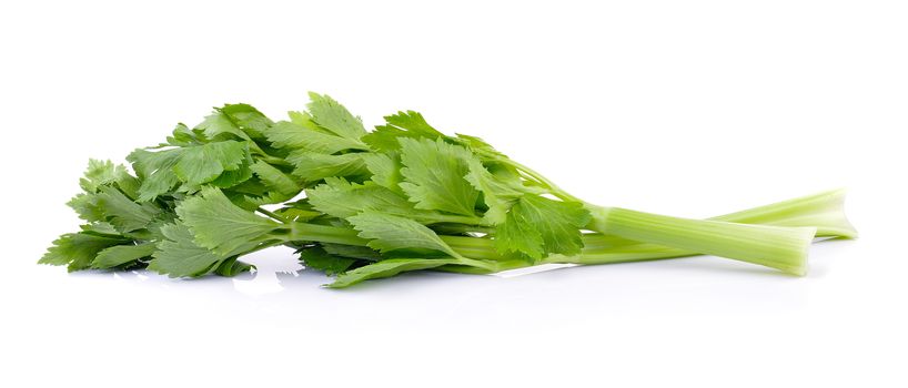 celery on white background