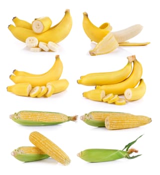 bananas and corn on white background
