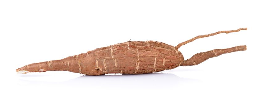 Cassava isolated on a white background