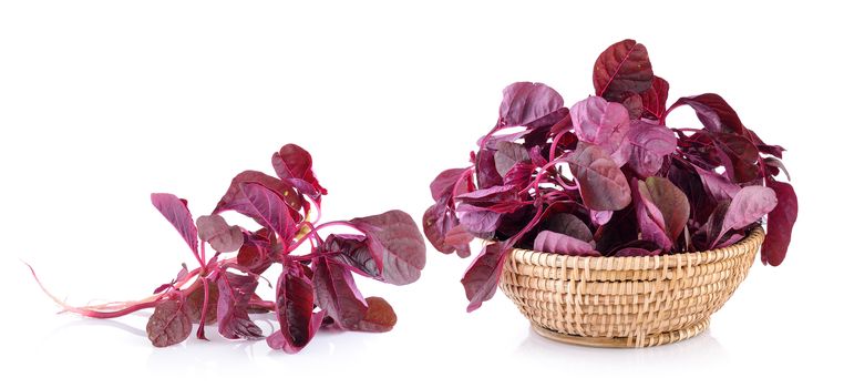 red spinach in the basket on a white background