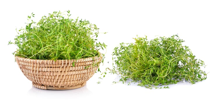 Fresh thyme on white background