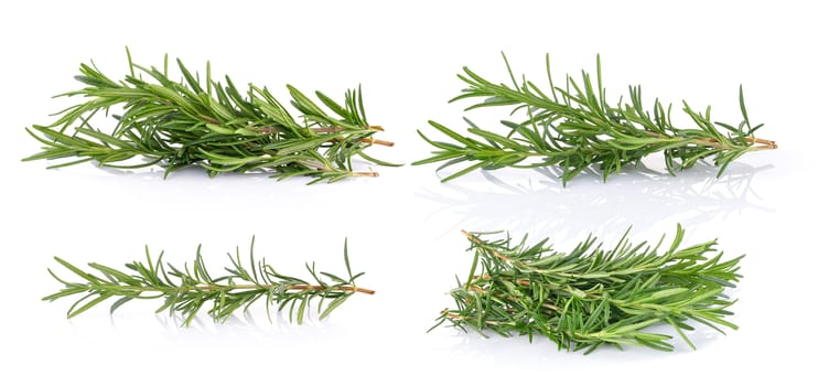 rosemary on white background