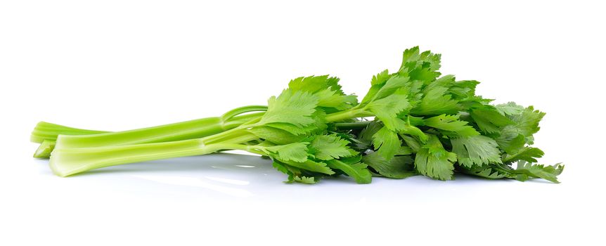 celery on white background