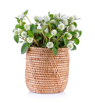 grass flower in basket