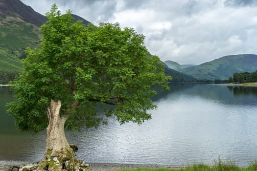 View of Buttermere