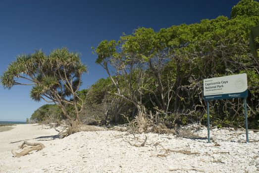 Capricornia Cays Park Sign near trees on beach of Lady Musgrave Barrier Reef island