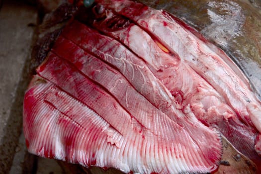 Fish meat big stingray during the cutting. photo