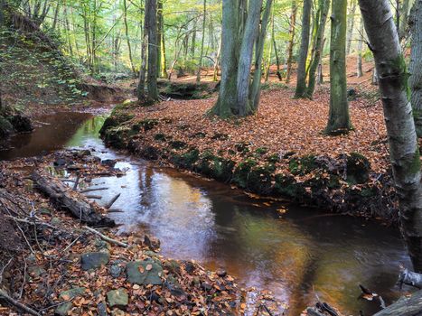 Scenic View of the Ashdown Forest in Sussex