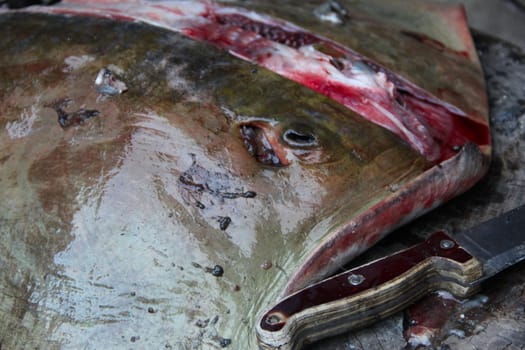 Fish meat big stingray during the cutting. photo