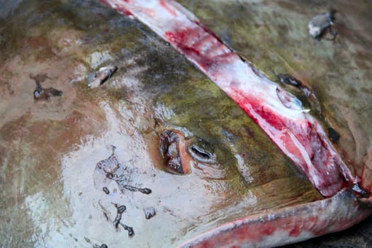 Fish meat big stingray during the cutting. photo