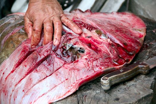 A man is cutting a Fish meat big stingray . photo