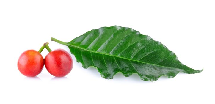 coffee bean and  leaves on white background