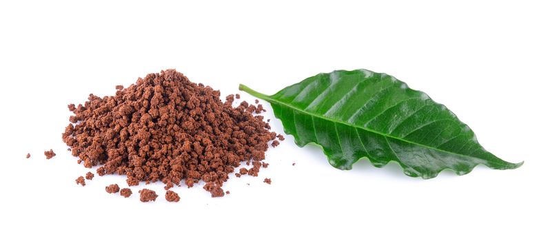 instant coffee and leaves on white background