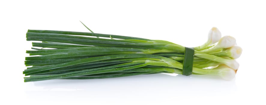 Green onion isolated on the white background