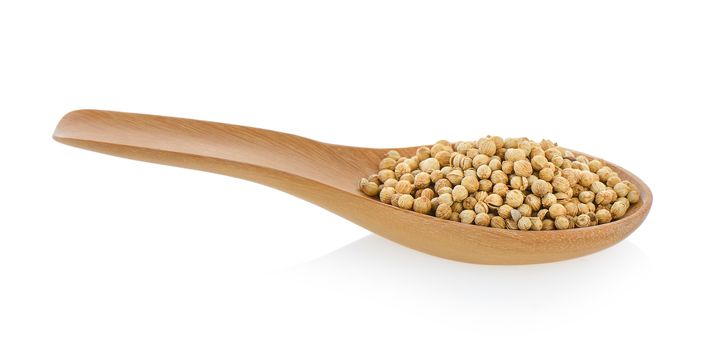 Coriander seeds in wood spoon on white background