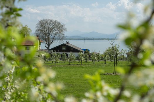 Landscape Fraueninsel Chiemsee in Bavaria, Germany in spring