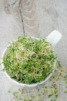 Fast growing micro greens  For year round salads