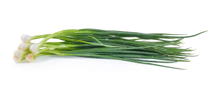 Green onion isolated on the white background