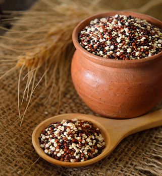 Quinoa seeds 