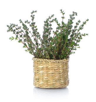 Thyme herb in basket on white background