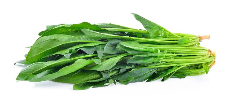 Spinach leaves isolated on white background