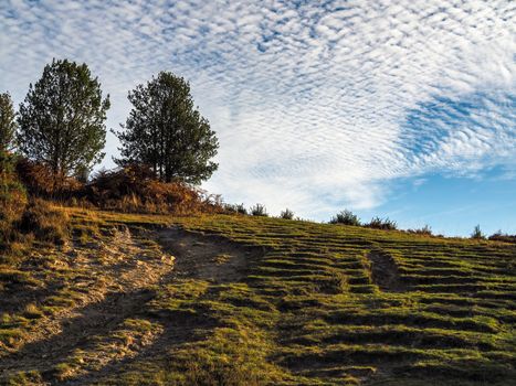 Scenic View of the Ashdown Forest in Sussex