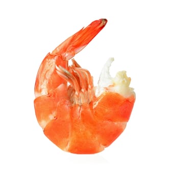 shrimps on a white background