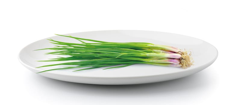 green onions in plate isolated on a white background