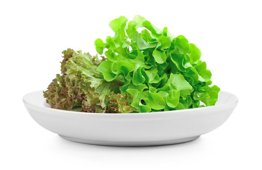 fresh green lettuce leaves in plate on white background