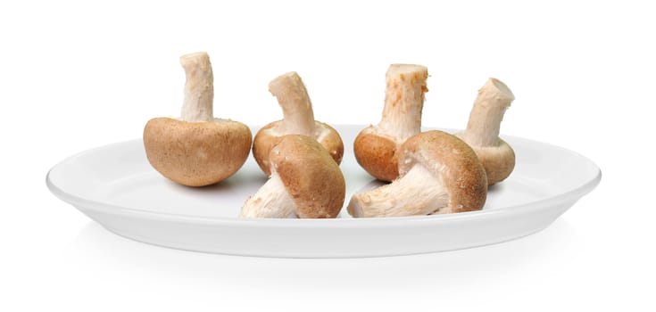 mushroom in plate on white background