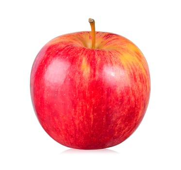 Red apple on white background