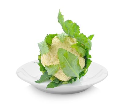 cauliflower in plate on white background