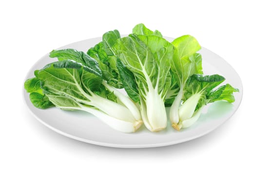 Pok Choi in plate isolated on a white background