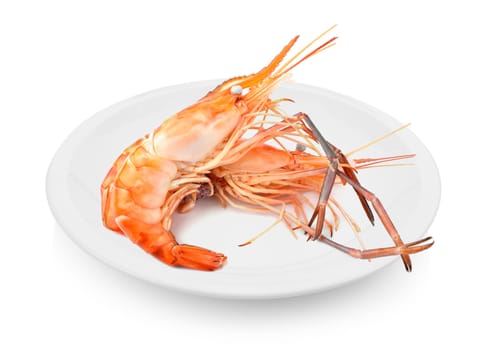 Boiled shrimp in plate on white background