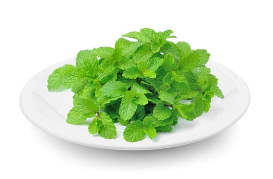 mint in plate on white background