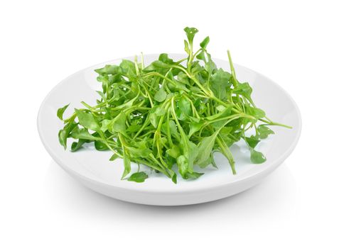 Fresh Watercress in plate on white background