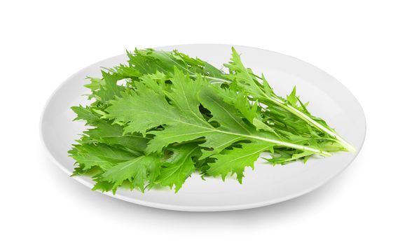 Mizuna lettuce isolated Japanese Mustard, vegetable salad for good health in plate isolated on white background