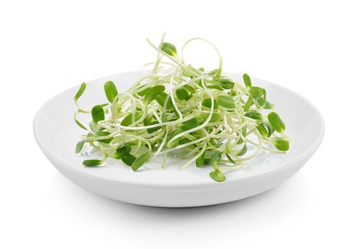 green young sunflower sprouts in plate on white background